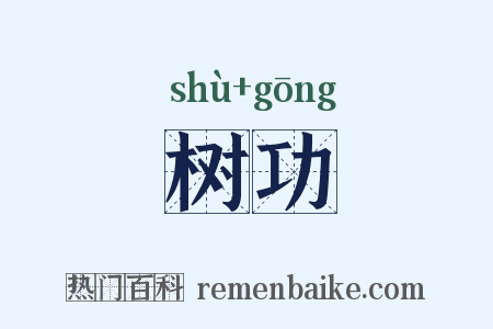 树功是什么意思的图片